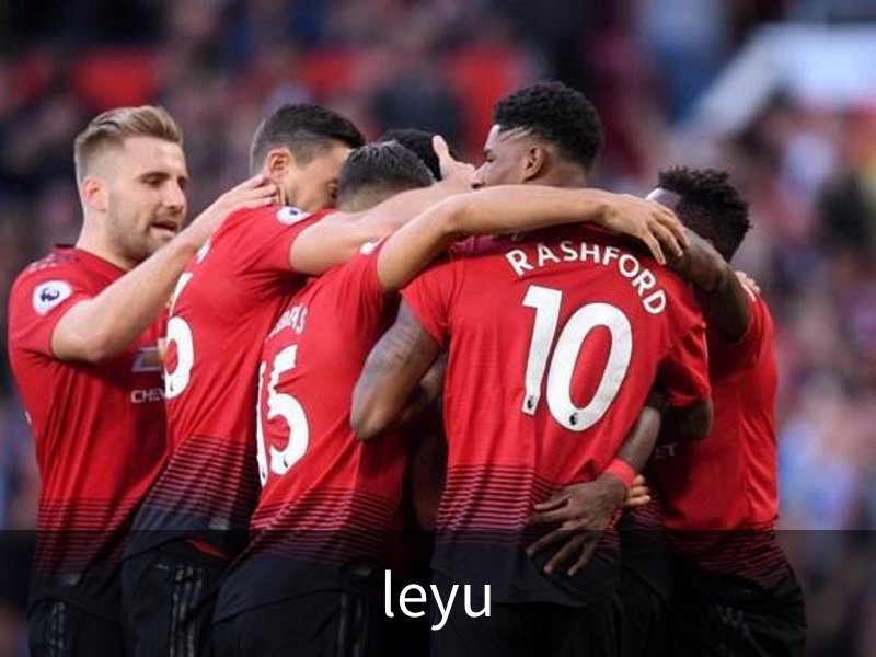 关于leyu